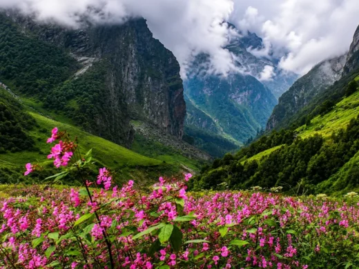 dates-for-valley-of-flower-GoAdven-India