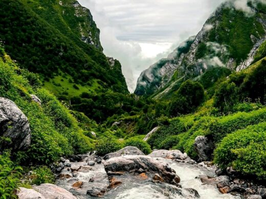 valley-of-flowers-trek-3