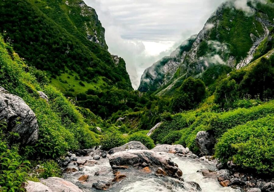 valley-of-flowers-trek-3