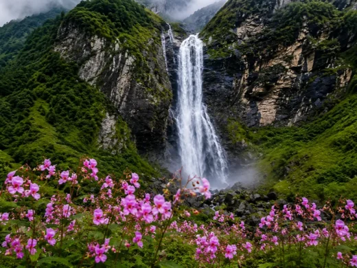 valleyof-flowers