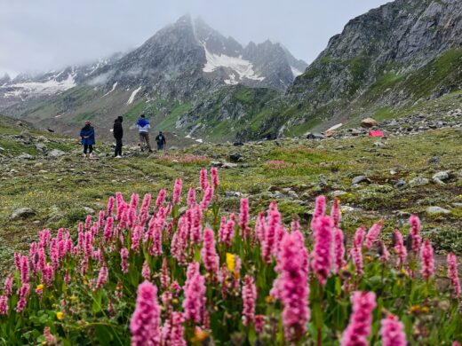 Hampta Pass Trek_From lush green valleys of Kullu to the stark_ dramatic landscapes of Spiti – Hampta Pass is a surreal crossover. Think wild rivers_ sno_9