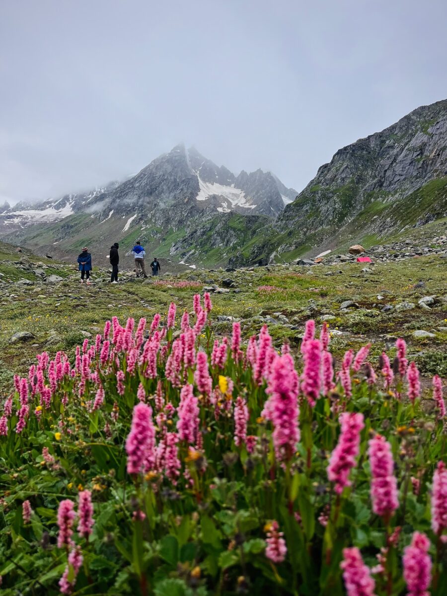 Hampta Pass Trek_From lush green valleys of Kullu to the stark_ dramatic landscapes of Spiti – Hampta Pass is a surreal crossover. Think wild rivers_ sno_9