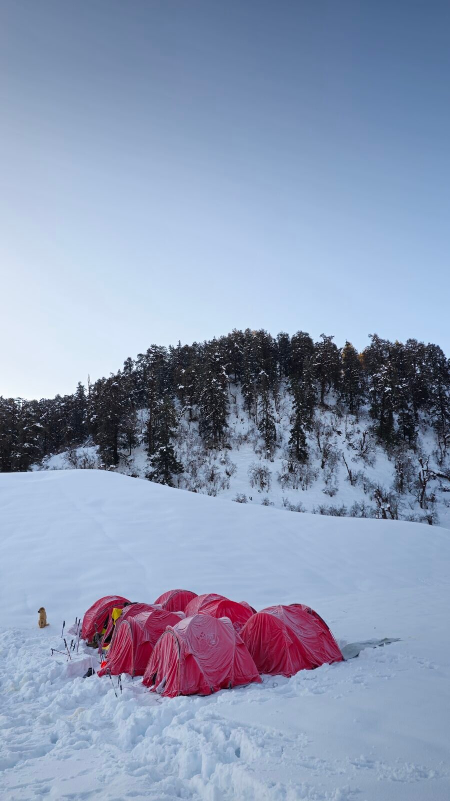20250302_071726 – Copy – Copy