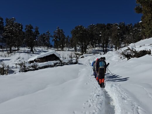 20250302_095503 – Copy – Copy