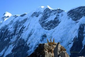 Roopkund Trek Guide