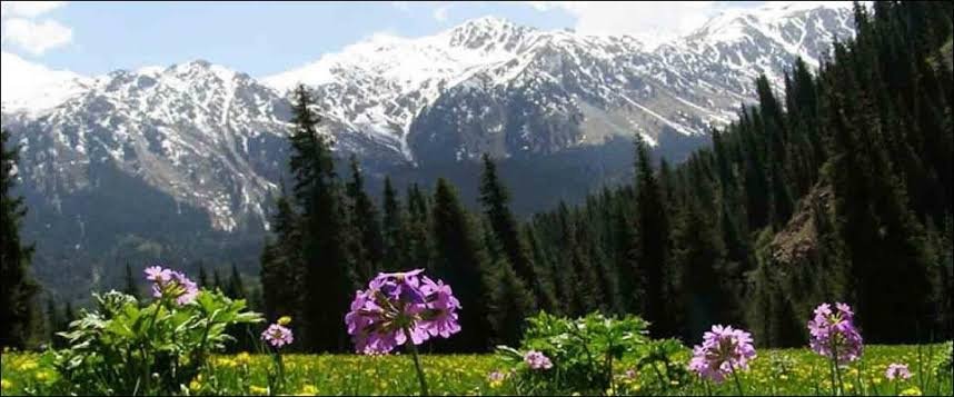 Nag Tibba Trek from Dehradun